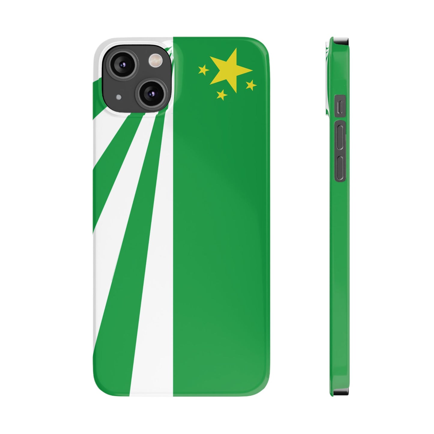 DayZ Inspired Republic of Chernarus Flag Slim Protective iPhone Case