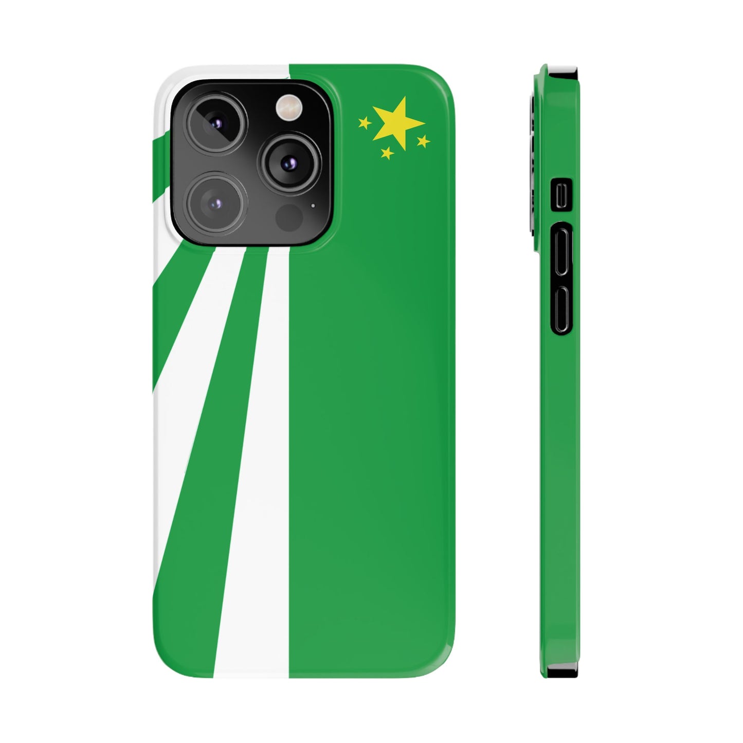 DayZ Inspired Republic of Chernarus Flag Slim Protective iPhone Case