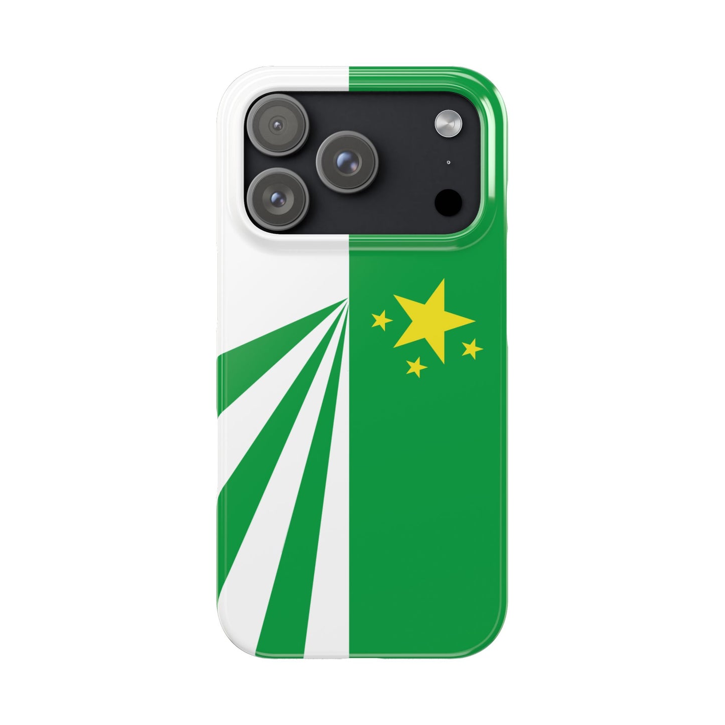 DayZ Inspired Republic of Chernarus Flag Slim Protective iPhone Case