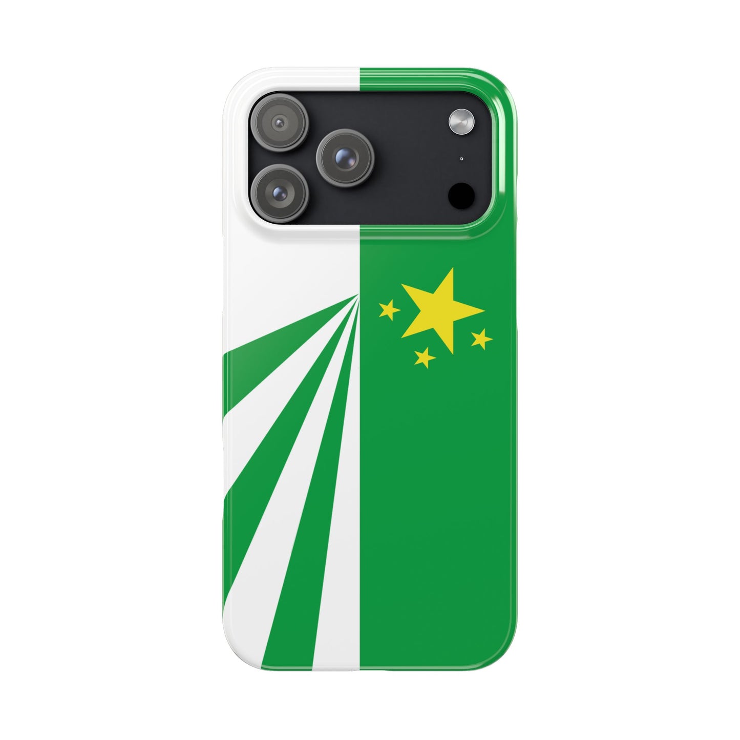 DayZ Inspired Republic of Chernarus Flag Slim Protective iPhone Case