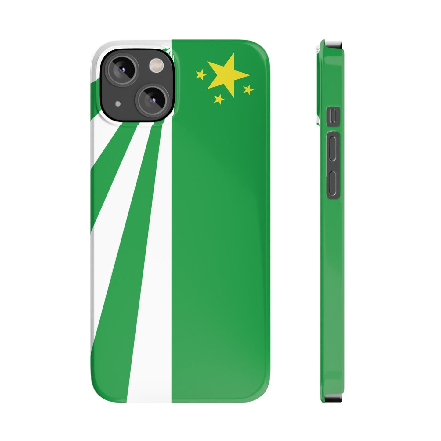DayZ Inspired Republic of Chernarus Flag Slim Protective iPhone Case