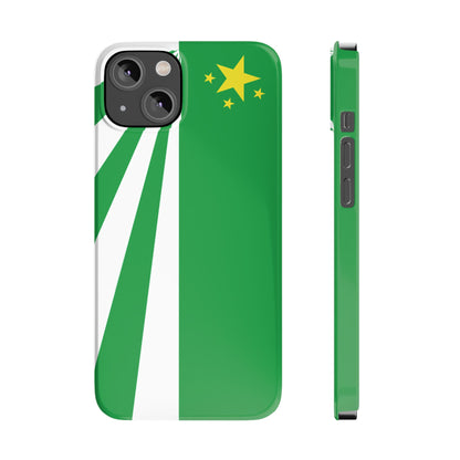 DayZ Inspired Republic of Chernarus Flag Slim Protective iPhone Case
