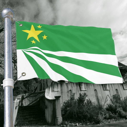 DayZ Inspired Republic of Chernarus Double Sided Flag