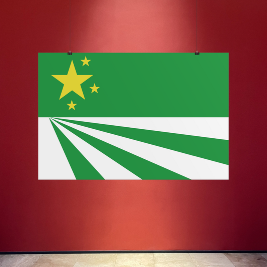 DayZ Inspired Republic of Chernarus Flag Rolled Poster